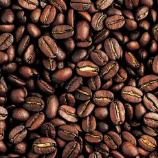 シティロースト