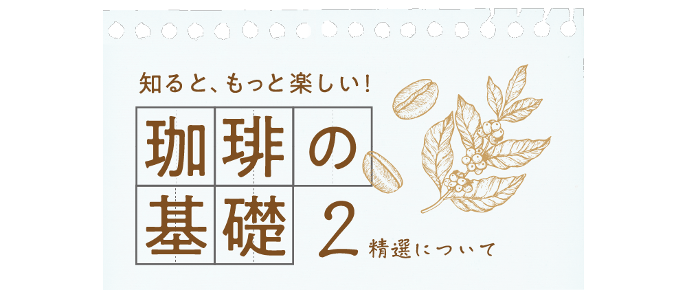 知るともっと楽しい 珈琲の基礎 2精選について