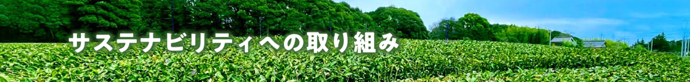 サステナビリティへの取り組み